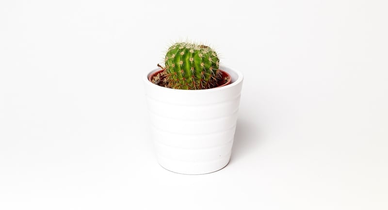 Creative Containers