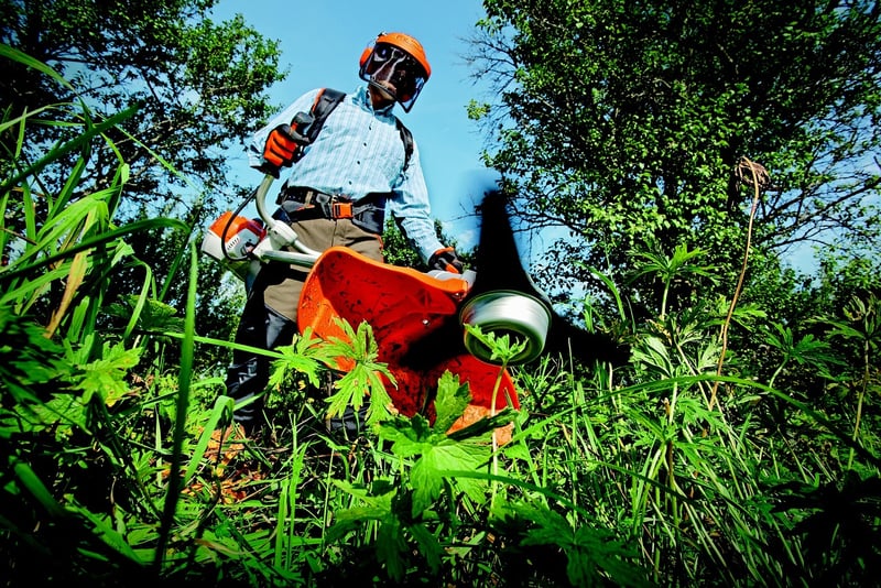 Fertilizing plants