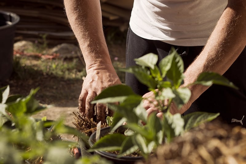 Gardening Event