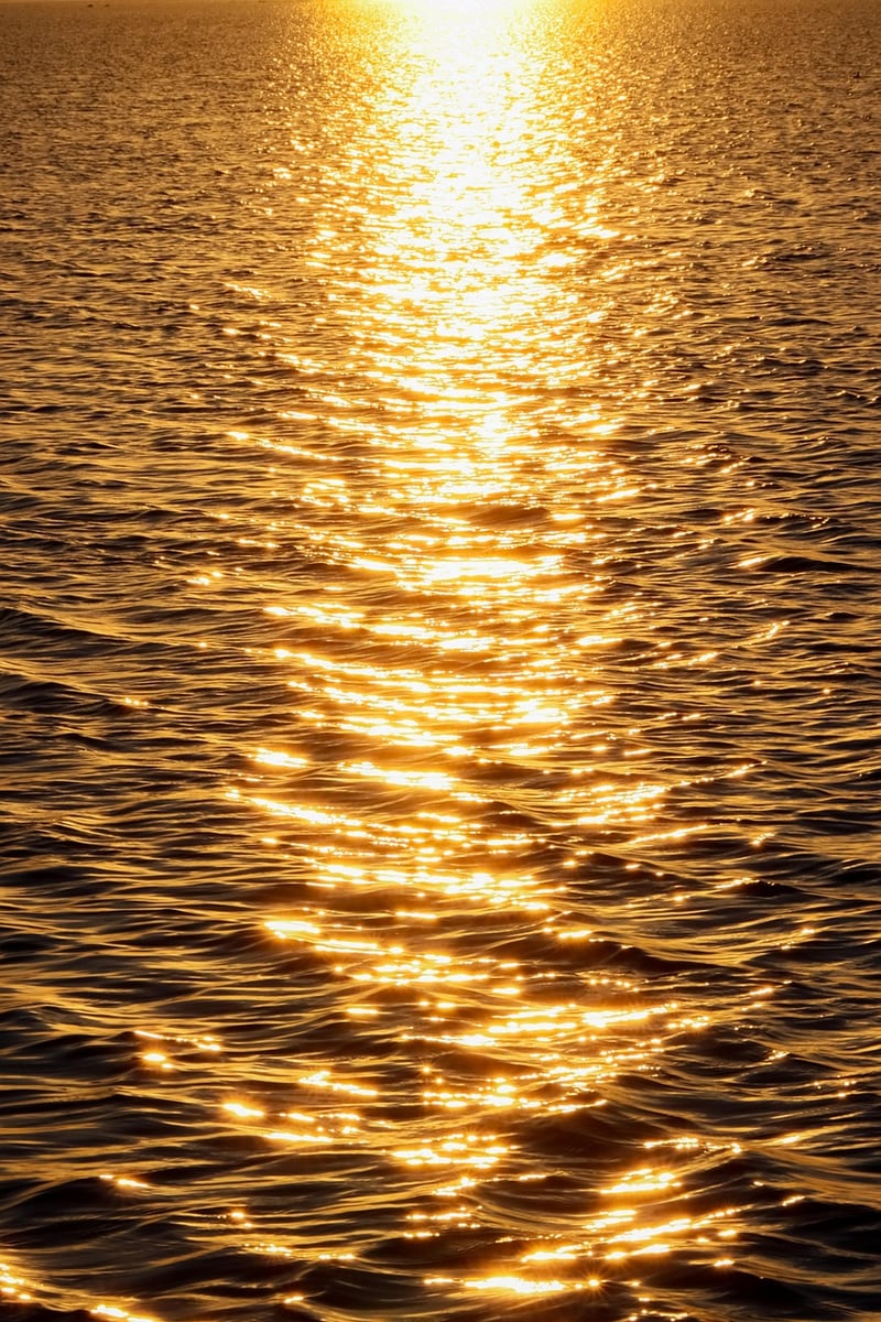 Sunlight through window